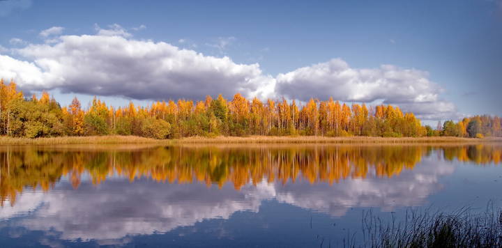 Казаринка( Смоленская область)