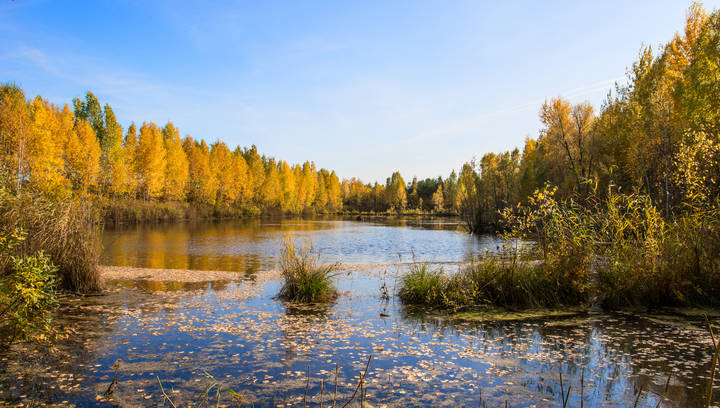 Лесное озерцо в осеннем наряде