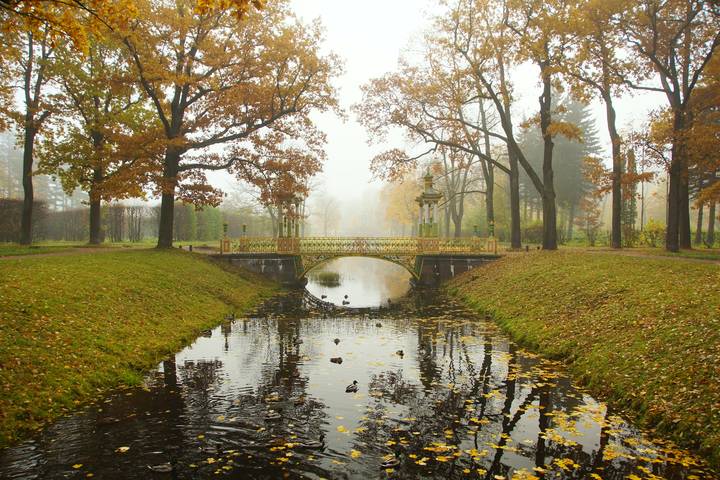 Вчера утром...