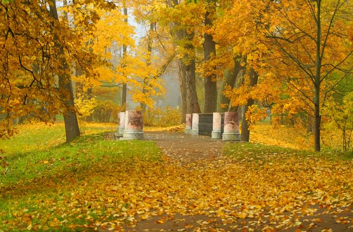 Осень...