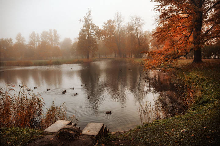 Александровский парк. 