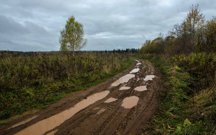 "...Серый день ползёт лениво..."