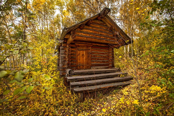 Ступеньки в осень
