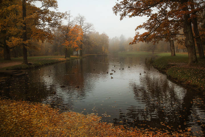 Осень в Александровском парке