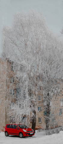 Зимняя зарисовка.