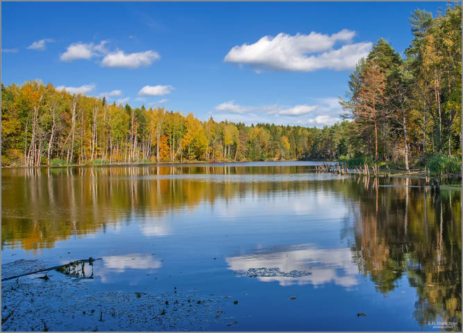 Осенние краски