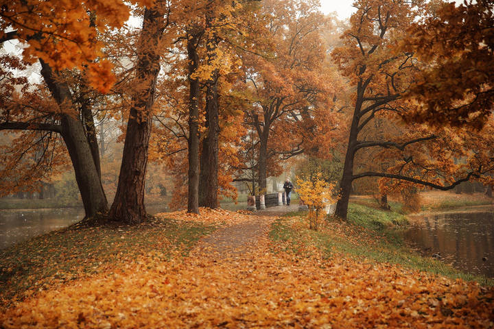 Александровский парк. 