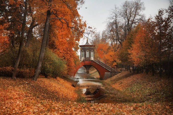 Александровский парк. Царское село.   