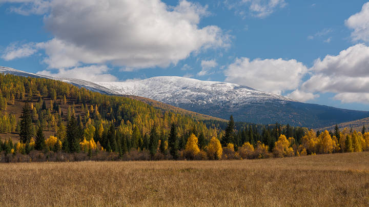 На Семинский