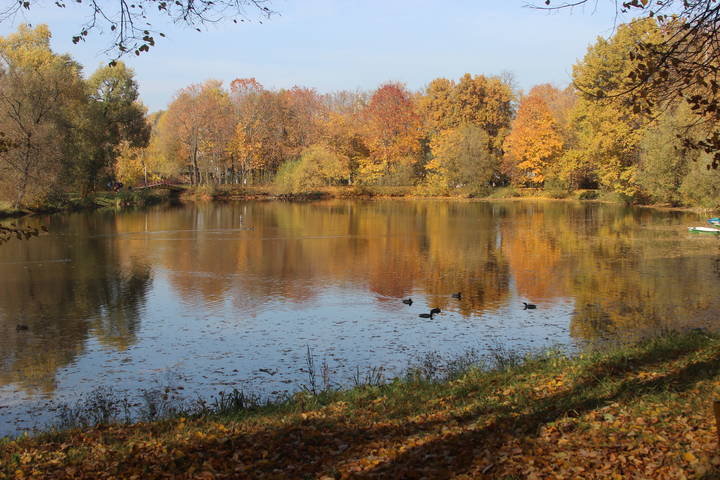 золотая осень