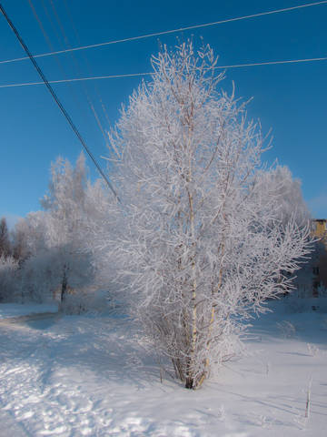 Переплетение технологий и прекрасного.