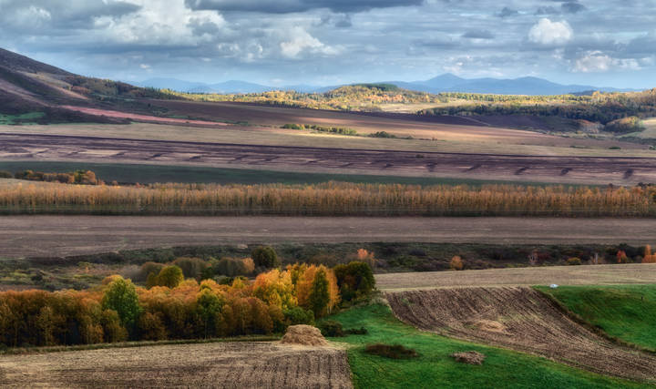 Осень