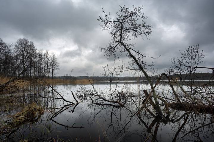 Руница
