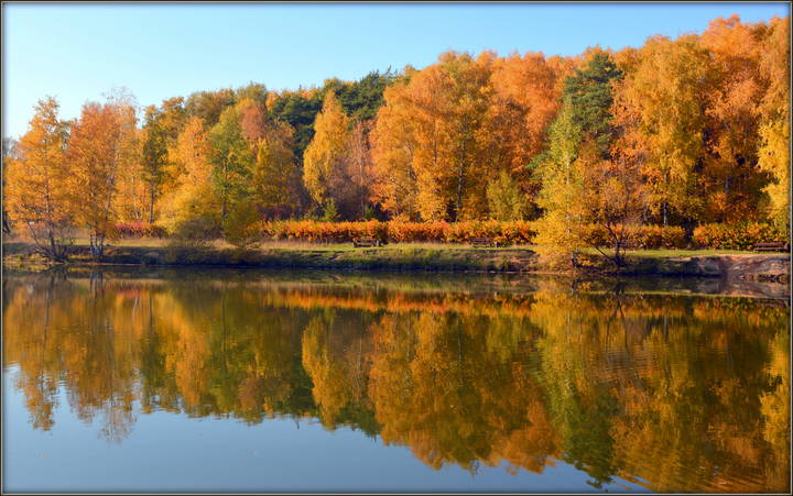 Краски осени