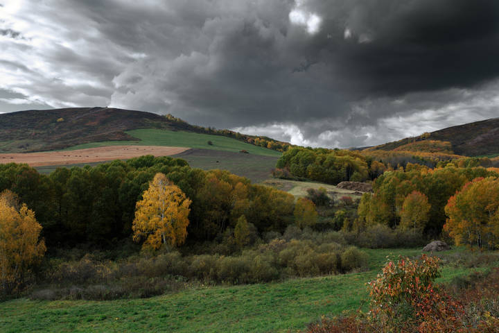 Осенняя