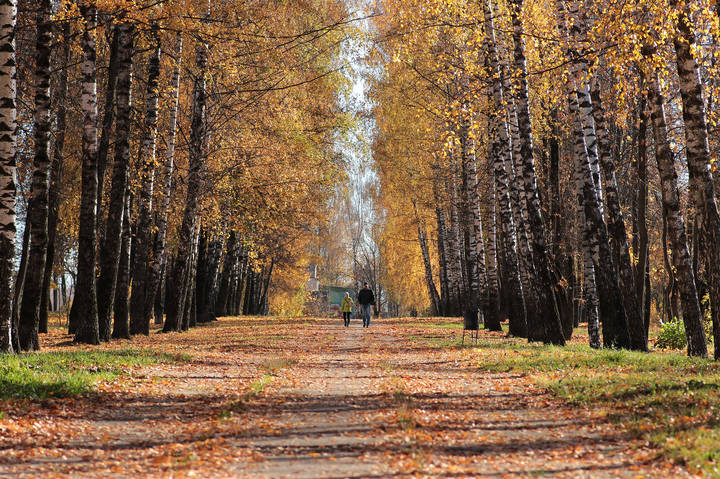 Гуляющие 