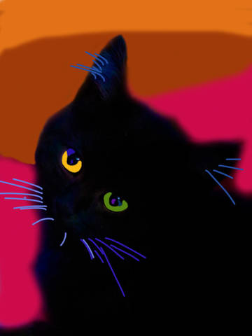 Еще кошка