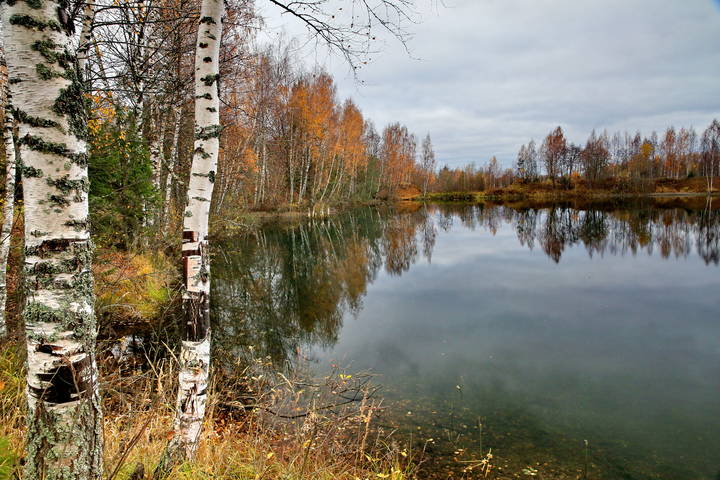 Лесное озеро
