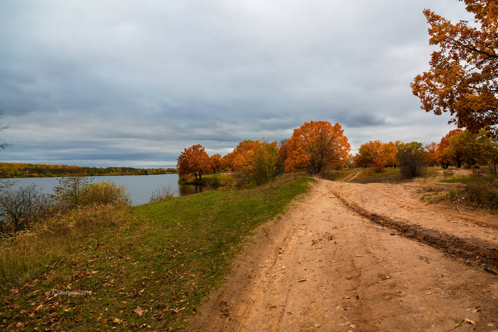 Пасмурная осень