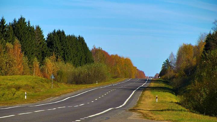 Дорога в осень