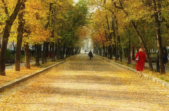 Утро на Тверском бульваре