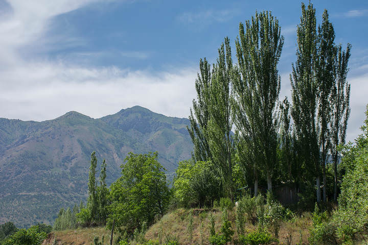 В горах Узбекистана.