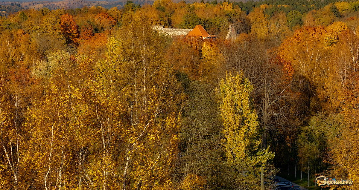 Latvia 2018 Autumn in Sigulda 10