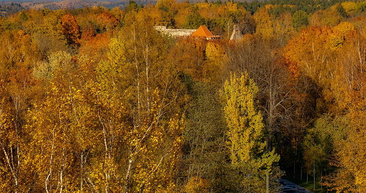 Latvia 2018 Autumn in Sigulda 10