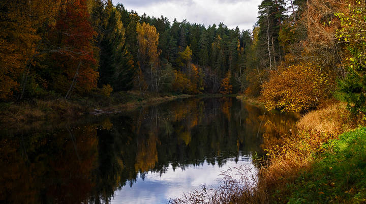 Осенняя река