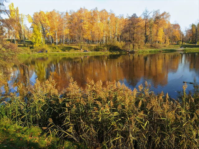 Осенний день