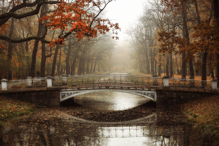 Александровский парк. Царское село.