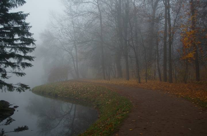 Грустное утро...
