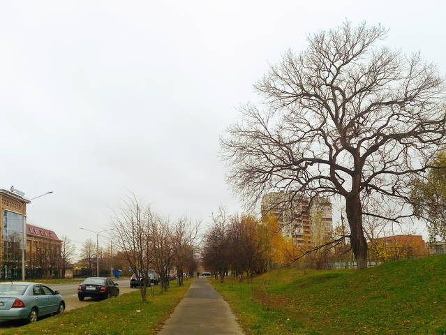 В конце октября