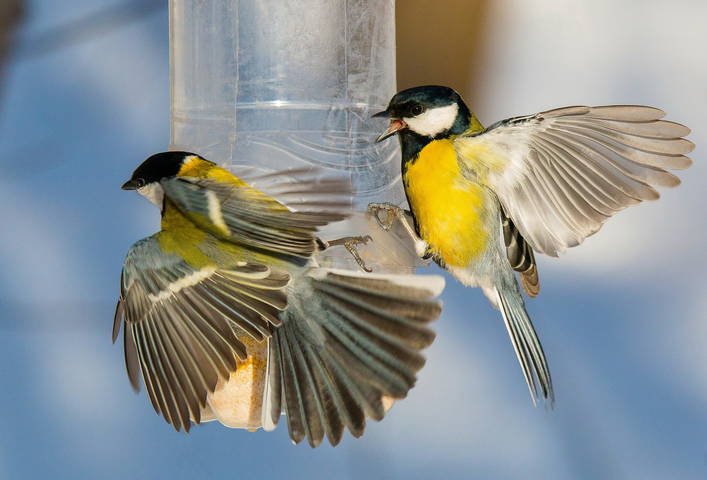# 4