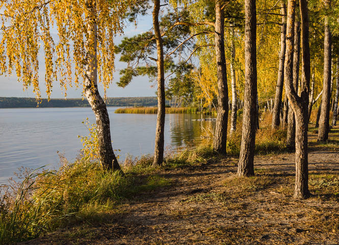 Осенний вечер