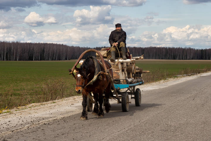 Откуда дровишки? )