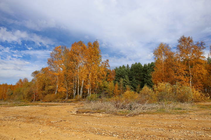  Осенний берег