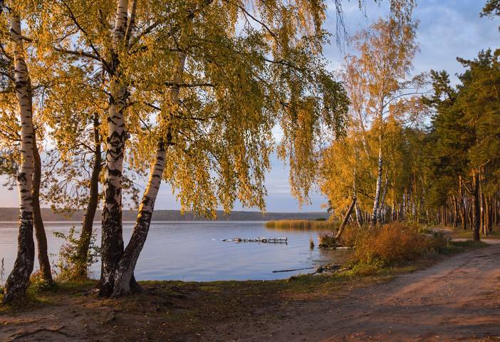 Тихий вечер