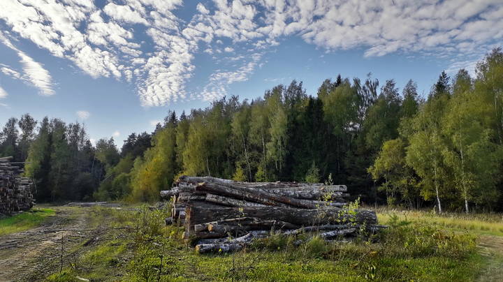 Зима не за горами