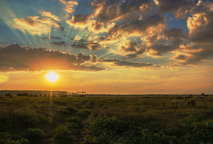 Летний закат пылающего дня