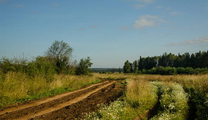Август