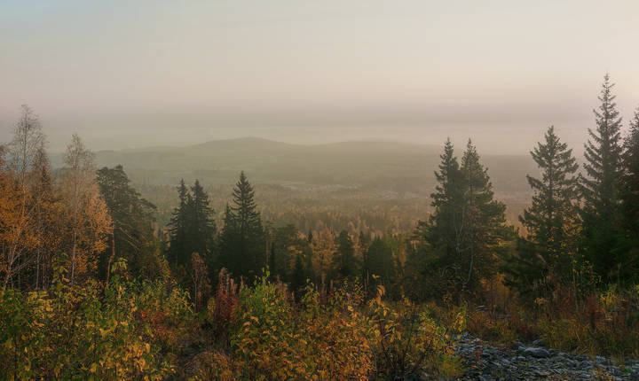 Туманная даль