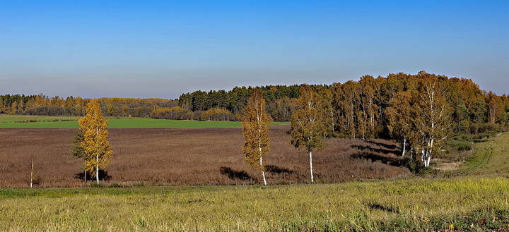 Latvia 2018 Autumn in Sigulda 15