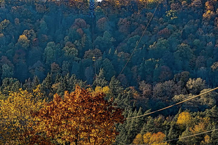 Latvia 2018 Autumn in Sigulda 16