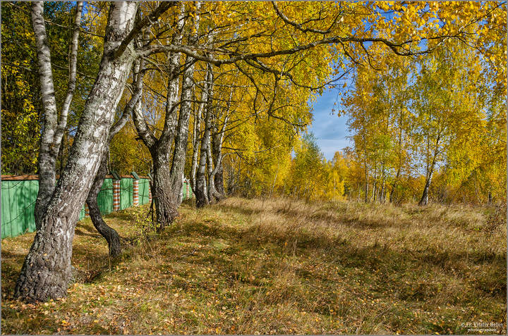 Осенний ноктюрн