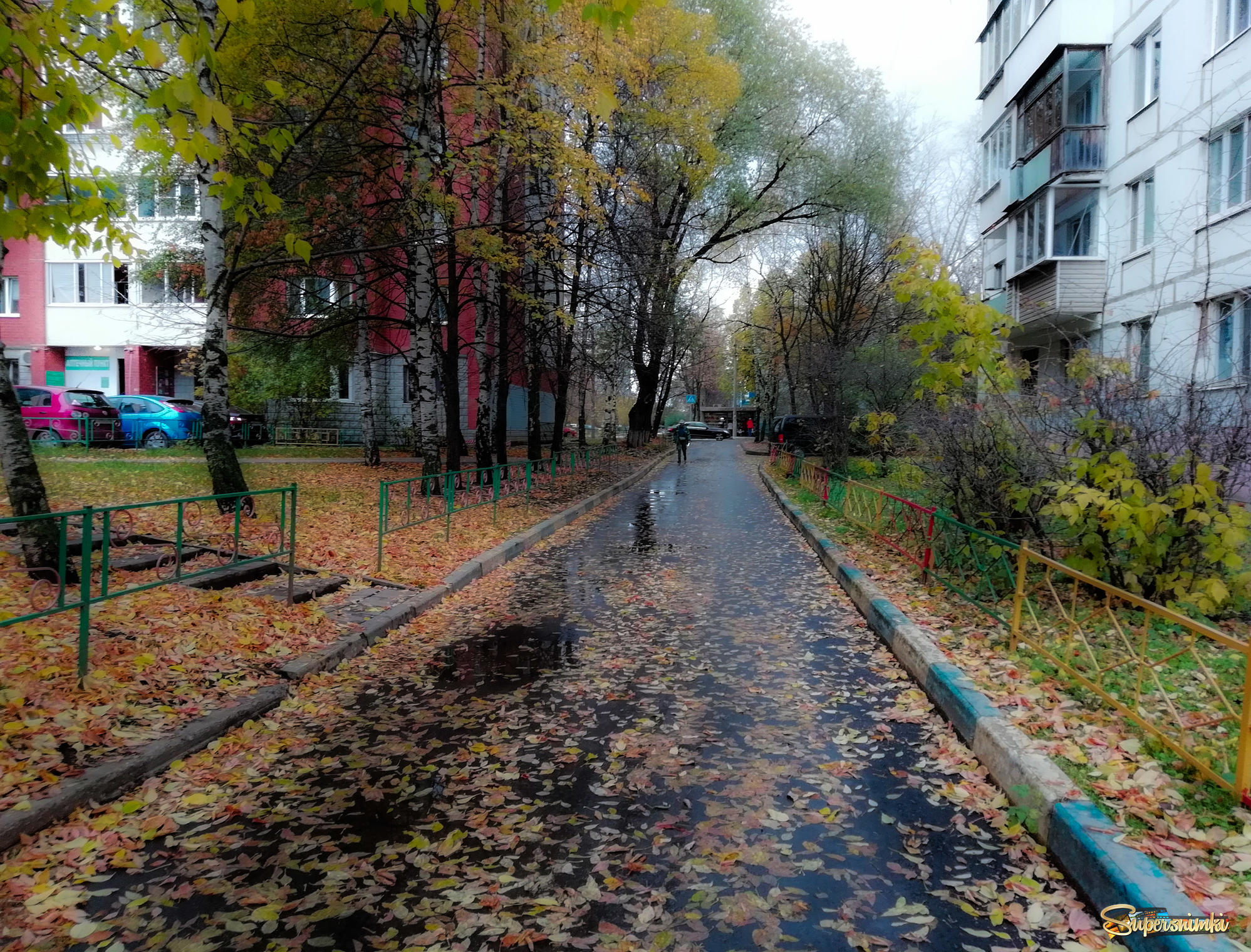 Осенний дождичек