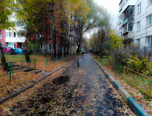 Осенний дождичек