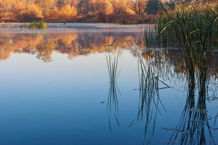 Утренняя гладь