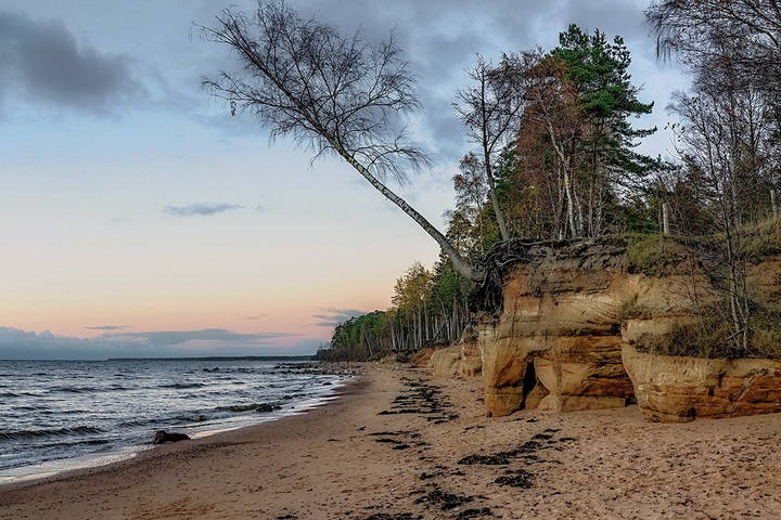 Latvia 2018 Vidzeme seaside