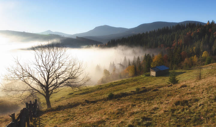 Утро в Ясинях.
